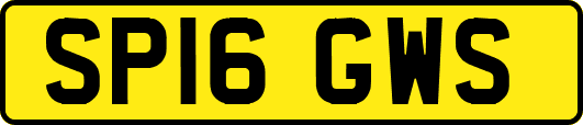 SP16GWS