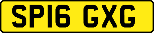 SP16GXG