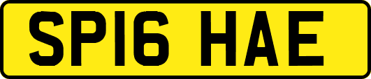 SP16HAE