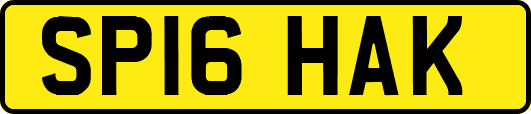 SP16HAK