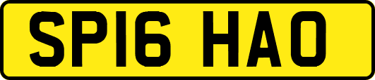 SP16HAO