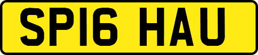 SP16HAU