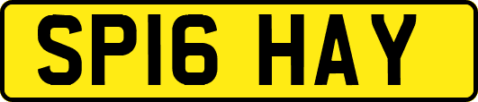 SP16HAY
