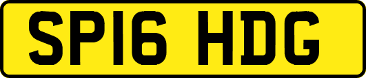 SP16HDG