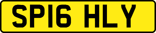 SP16HLY