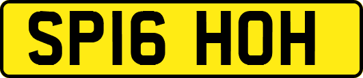 SP16HOH