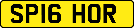 SP16HOR