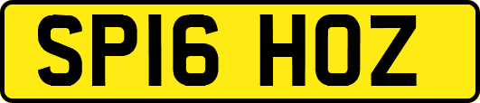 SP16HOZ
