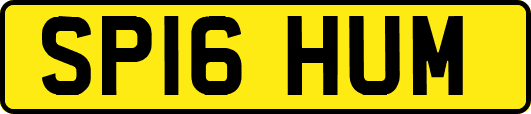 SP16HUM