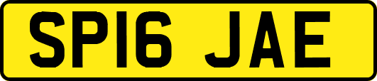 SP16JAE