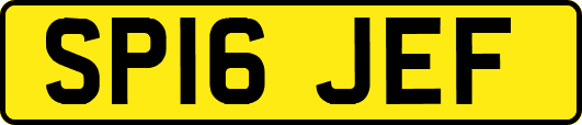 SP16JEF