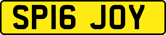 SP16JOY