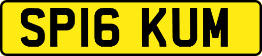 SP16KUM