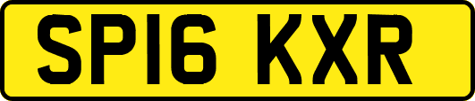 SP16KXR
