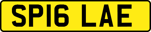 SP16LAE