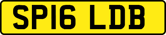 SP16LDB