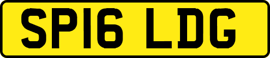 SP16LDG