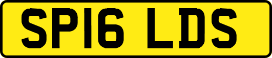 SP16LDS