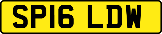 SP16LDW