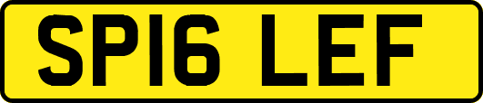 SP16LEF