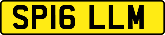 SP16LLM