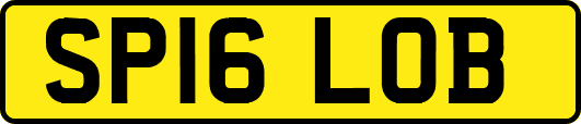 SP16LOB