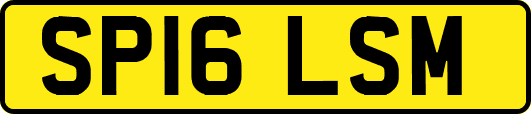 SP16LSM