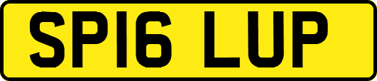 SP16LUP