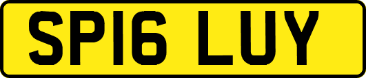SP16LUY