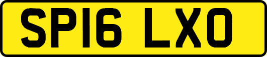 SP16LXO