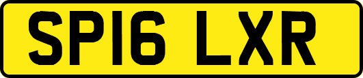 SP16LXR