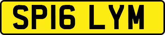 SP16LYM