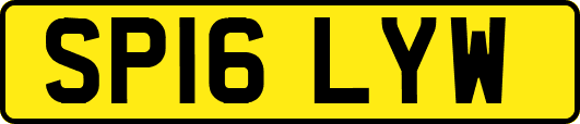 SP16LYW