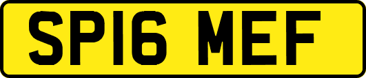 SP16MEF
