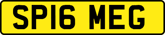 SP16MEG