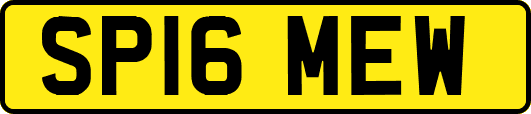 SP16MEW