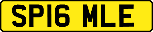 SP16MLE