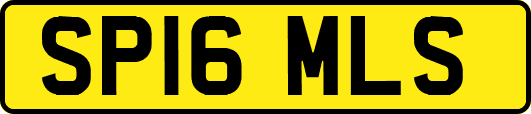 SP16MLS