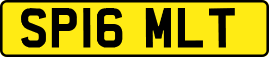 SP16MLT
