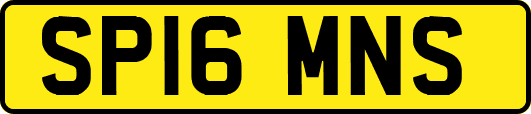 SP16MNS