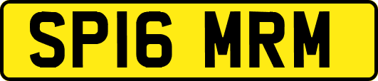 SP16MRM