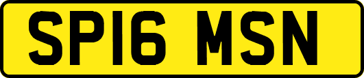 SP16MSN