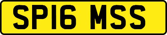 SP16MSS