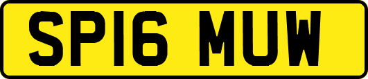 SP16MUW