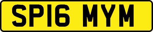 SP16MYM