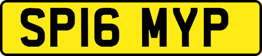 SP16MYP