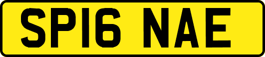 SP16NAE