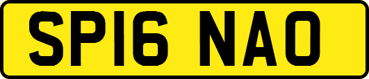 SP16NAO