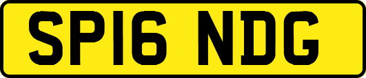 SP16NDG