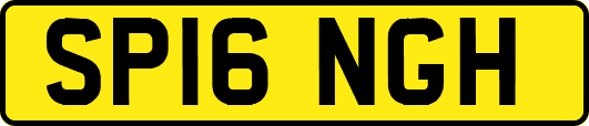 SP16NGH